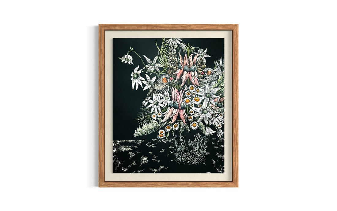 Ode To Preston - Sturt's Desert Pea By Peta West