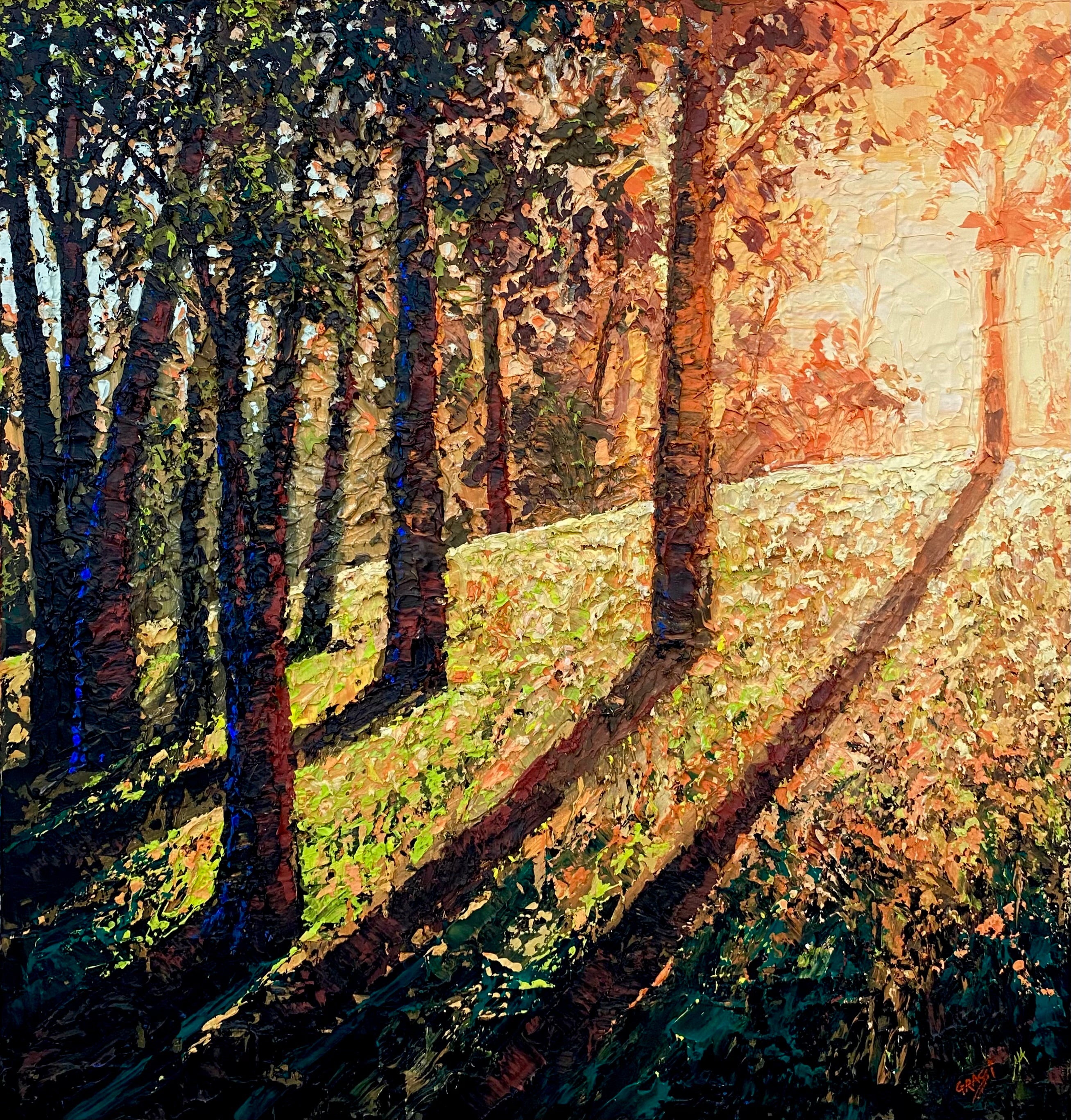 Radiant Sunlit Textures By Andrew Grassi Kelaher